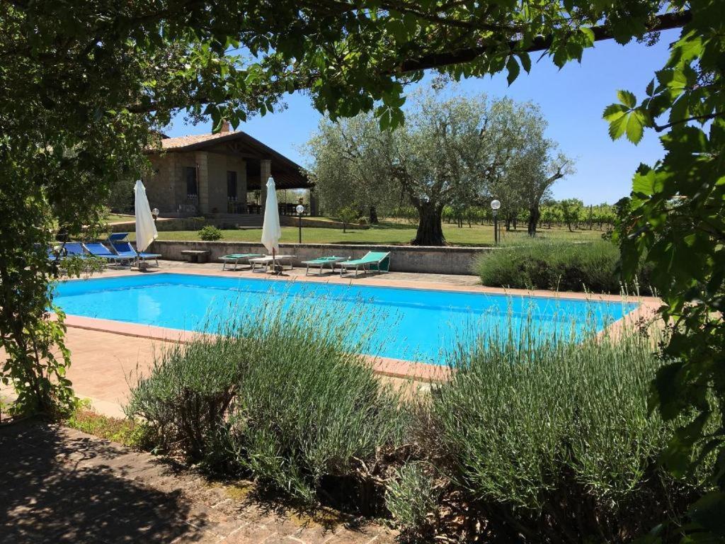 Agriturismo Eco-Bio Villa Vacasio Pitigliano Eksteriør billede