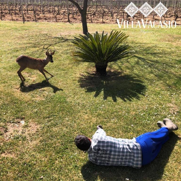 Agriturismo Eco-Bio Villa Vacasio Pitigliano Eksteriør billede